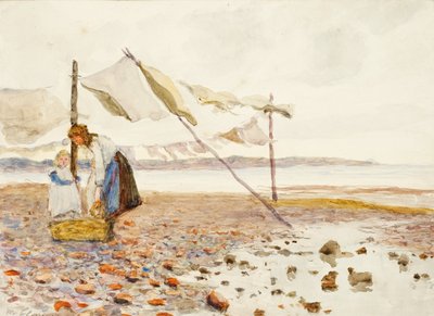 ショア（紙にトイレ）